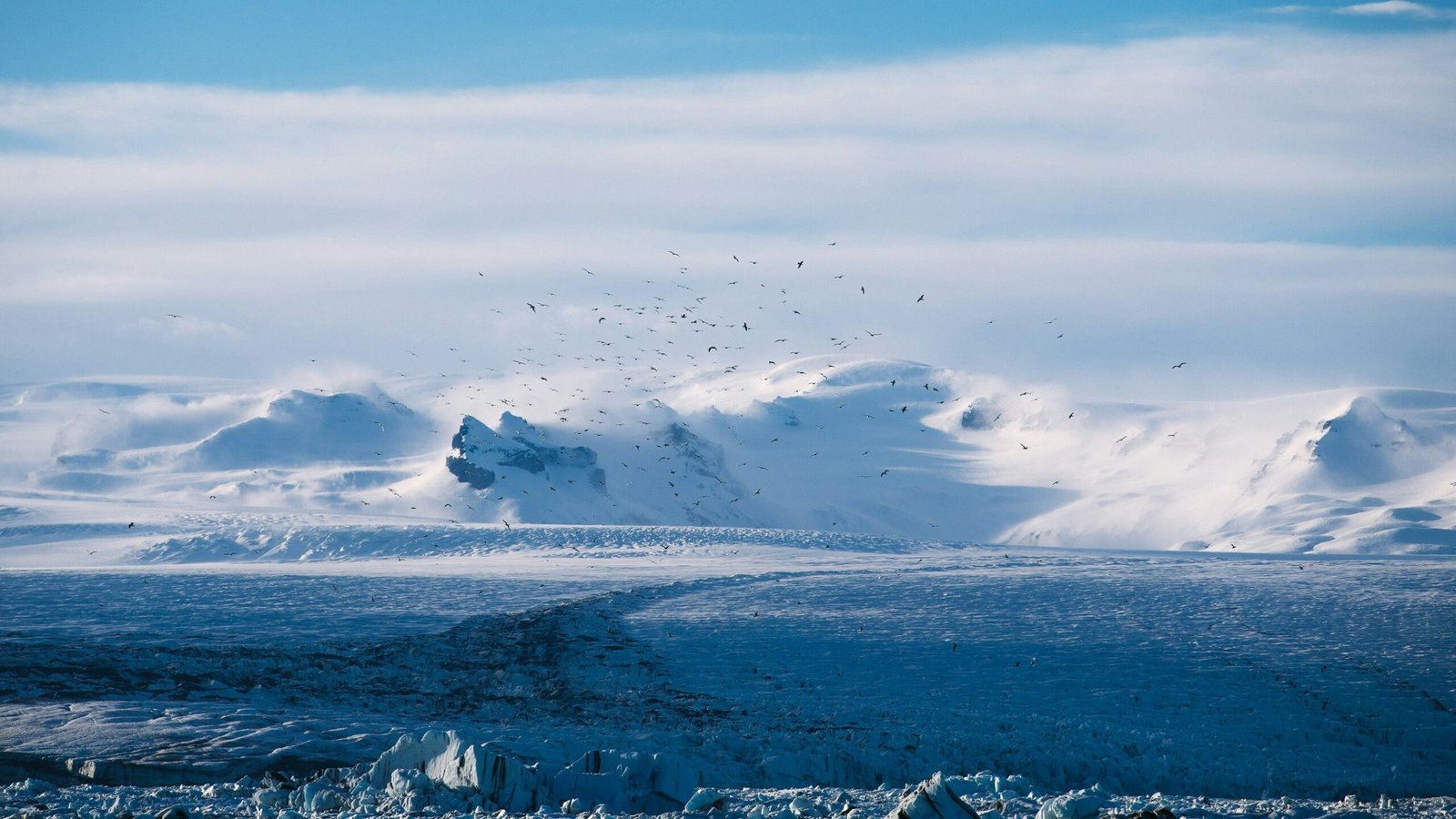 Cold Plunging And Endorphins: The Science Of Euphoria