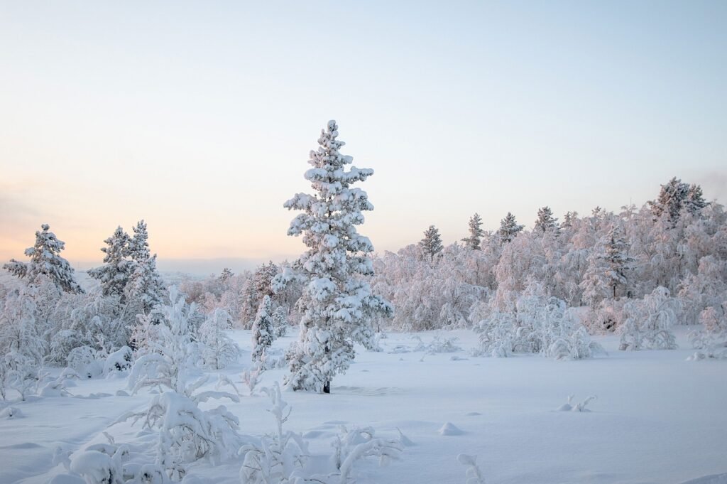How Cold Plunging Boosts Metabolism And Burns Fat