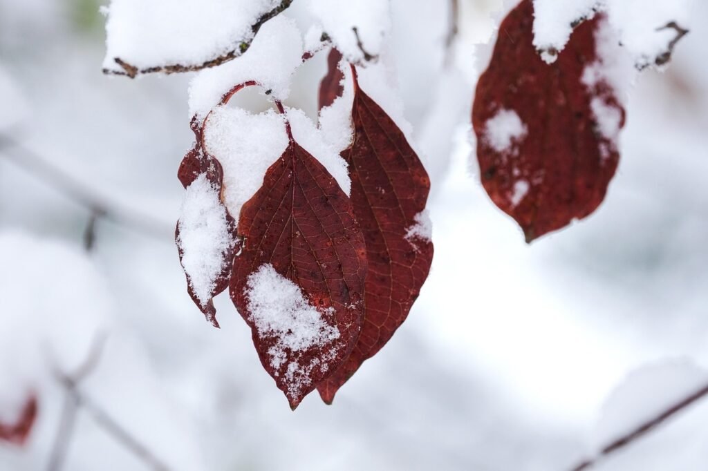 Can Cold Plunging Help With Depression And Anxiety?