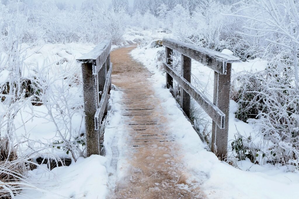 How Cold Plunging Affects Your Heart Rate Variability (HRV)