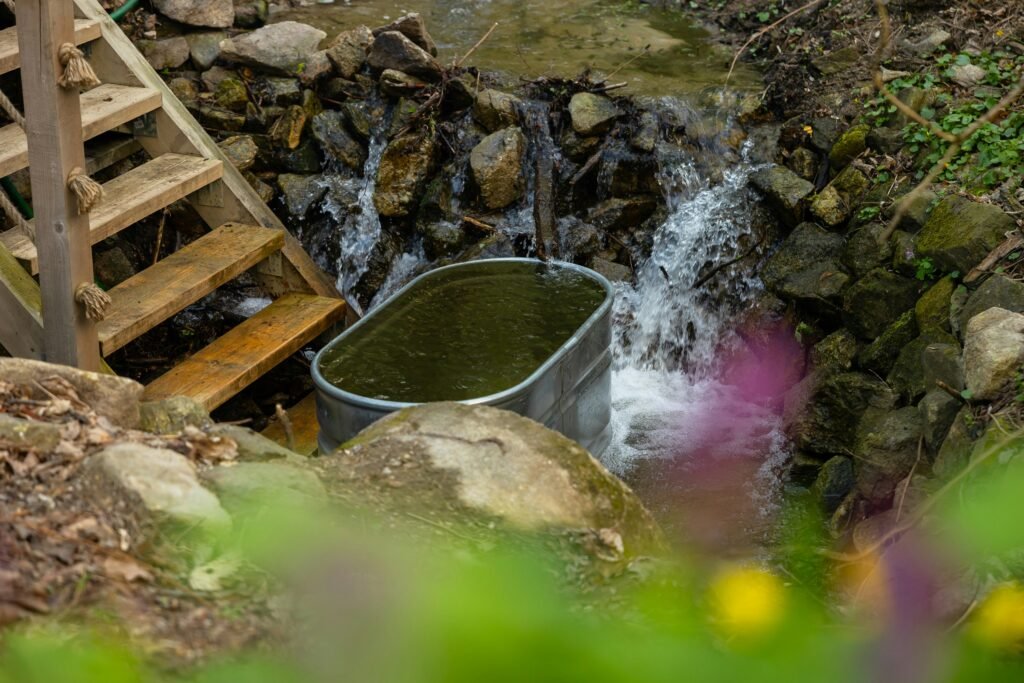 Morning Cold Plunges For Mental Clarity And Intention