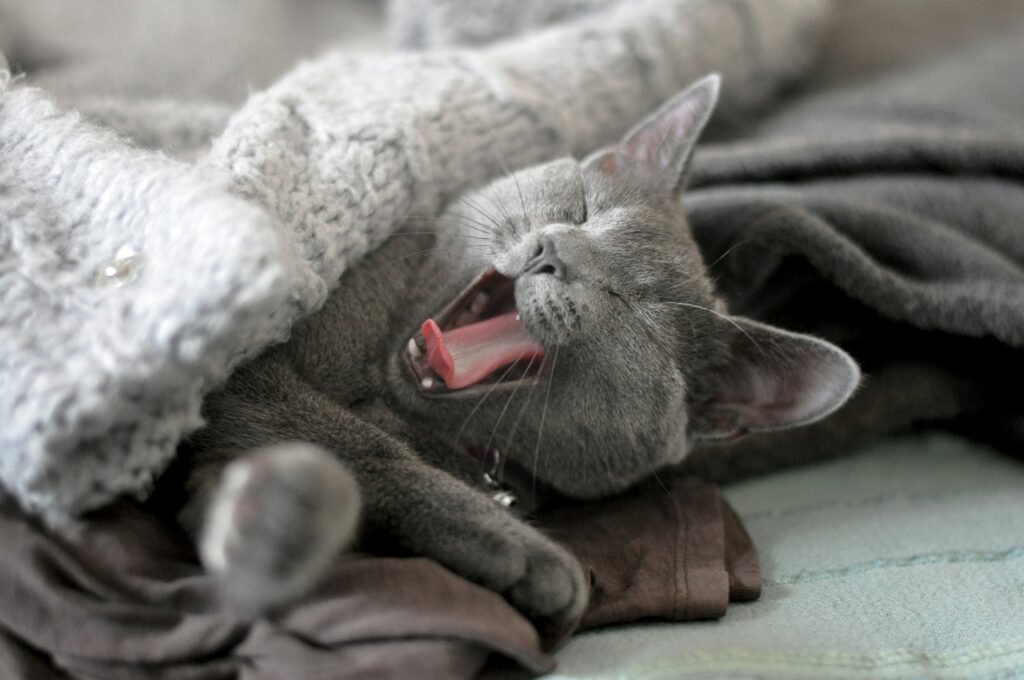 Plunging Your Way To Better Sleep Quality And Duration