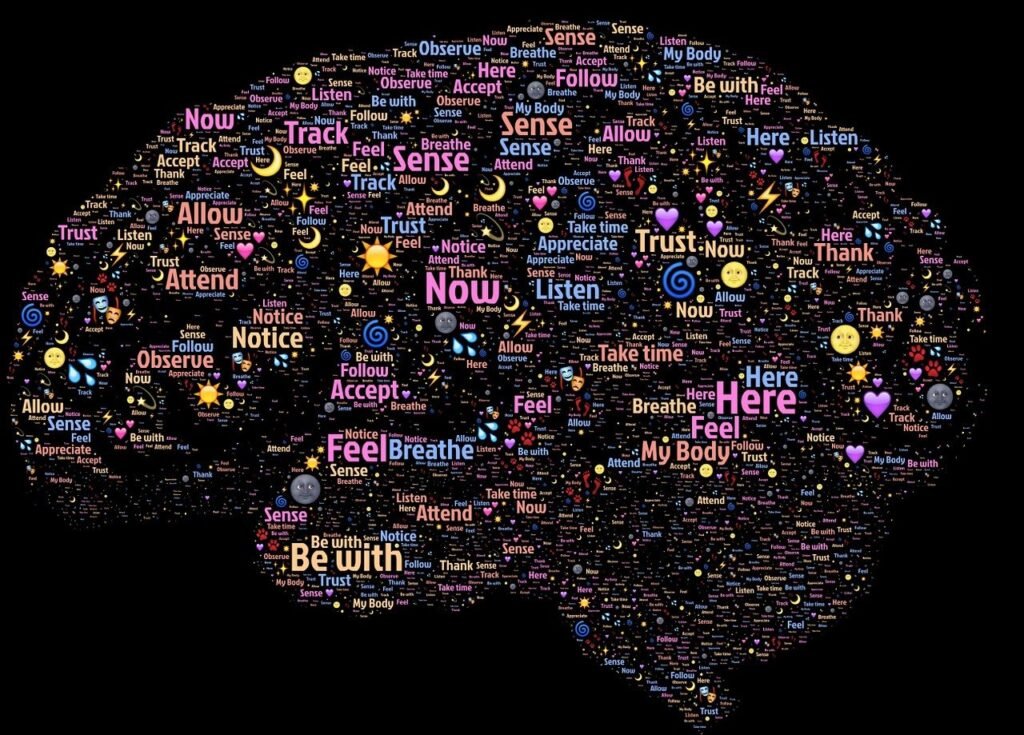 The Link Between Cold Plunges And Enhanced Neuroplasticity