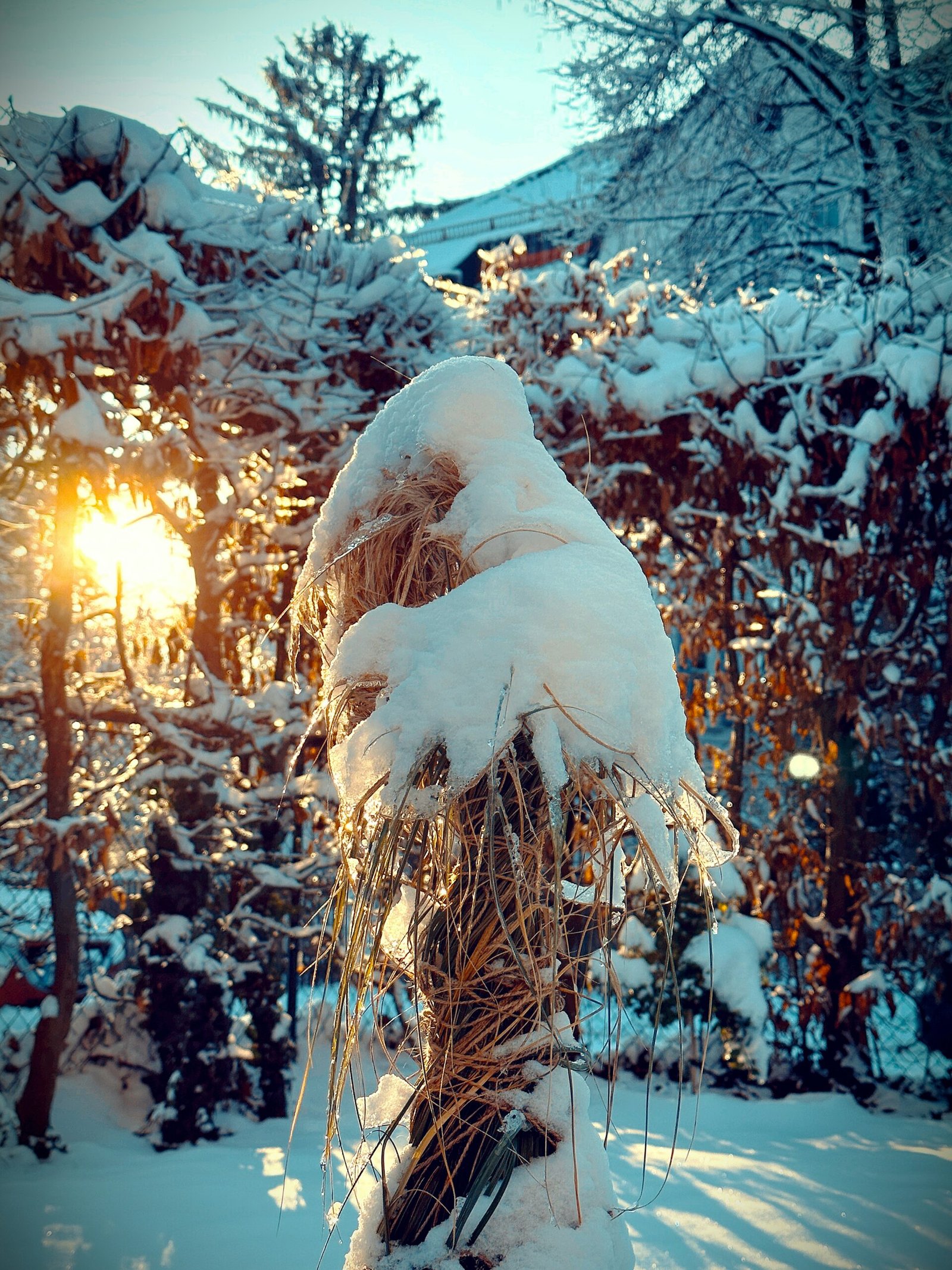 The Top 5 Cold Plunge Safety Rules