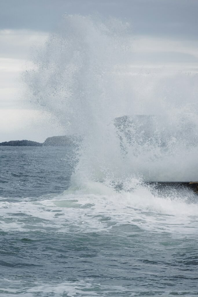 Why Cold Plunging Improves Mitochondrial Health