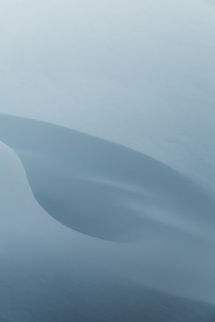 Cold Plunges And Longevity Genes: The SIRT Pathway Explained