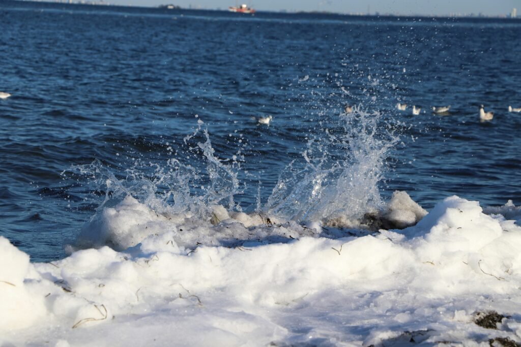How Cold Plunging Enhances Resilience Through Stress Adaptation