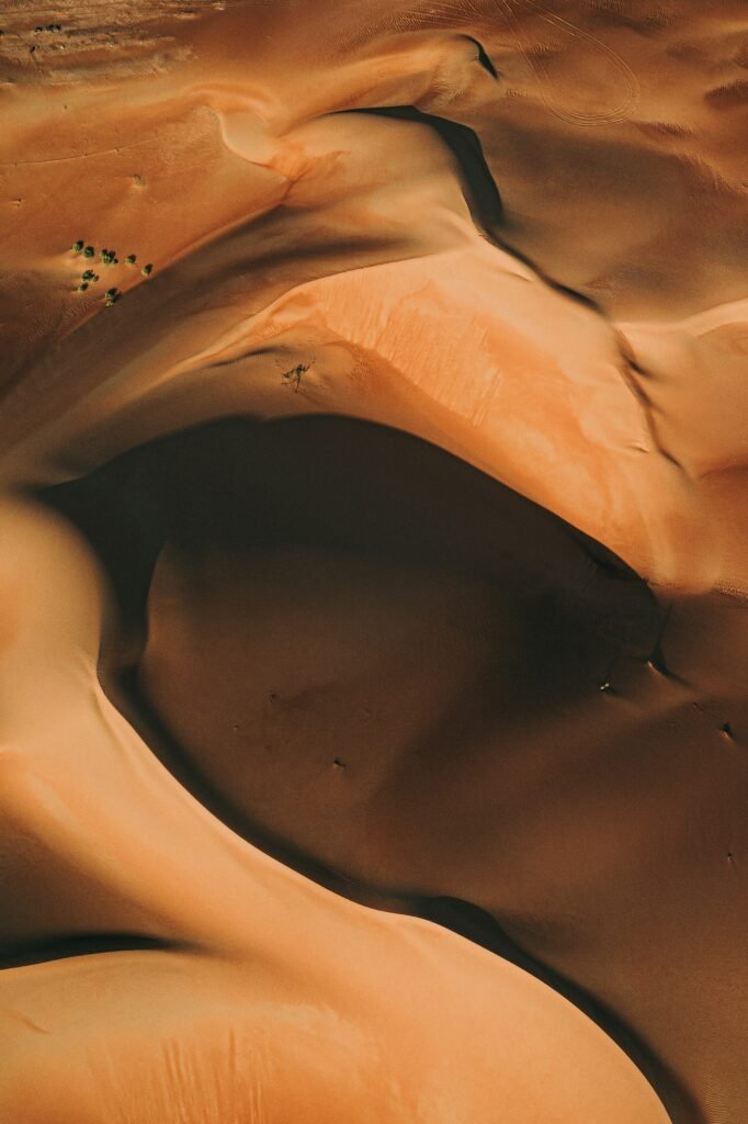Understanding Brown Vs. White Fat And Cold’s Role