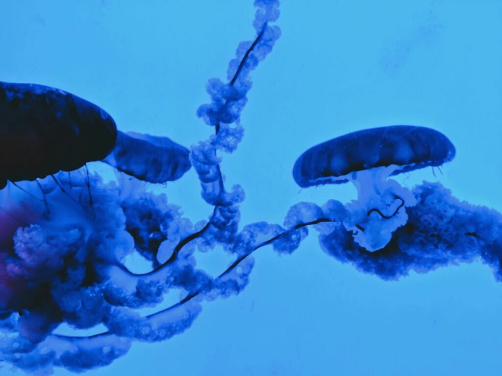 Cold Plunges And Gene Expression: The Epigenetic Connection