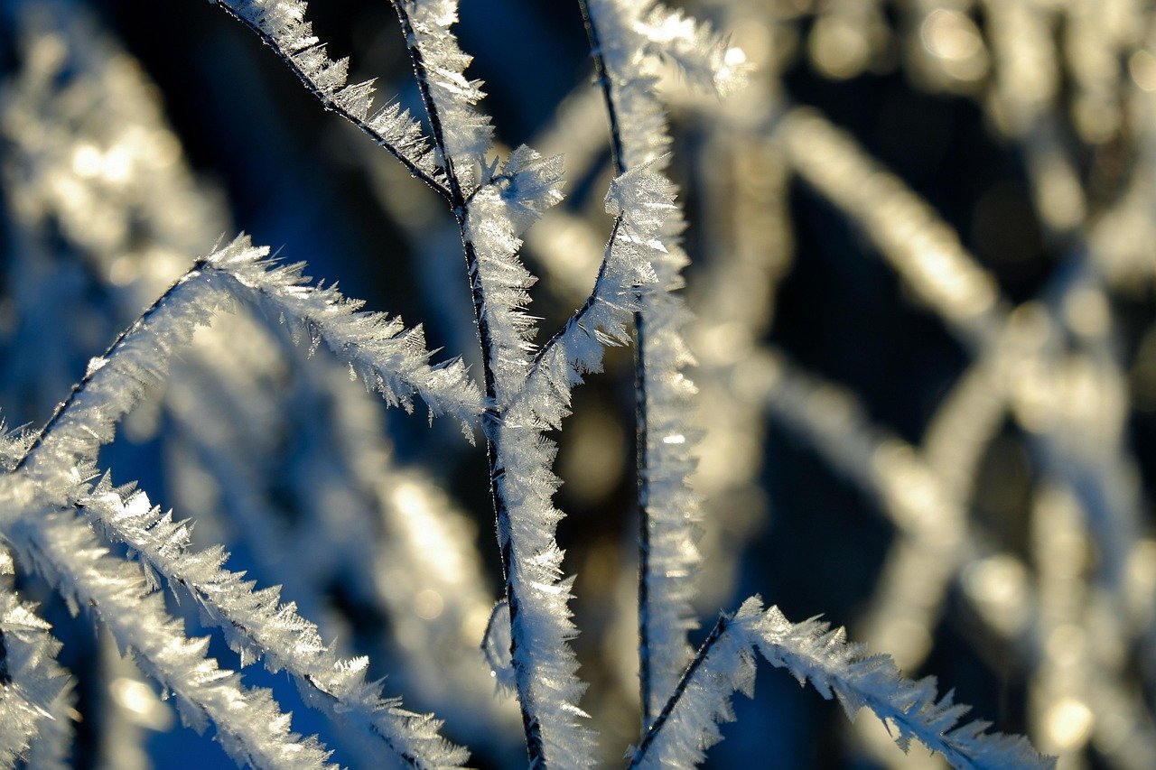 Do’s & Don’ts For Using A Cold Plunge Before Bed