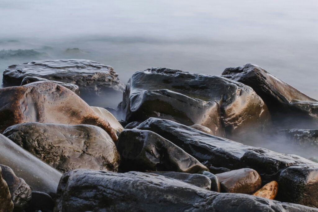 How Cold Water Triggers “Fight Or Flight” And Trains The Body
