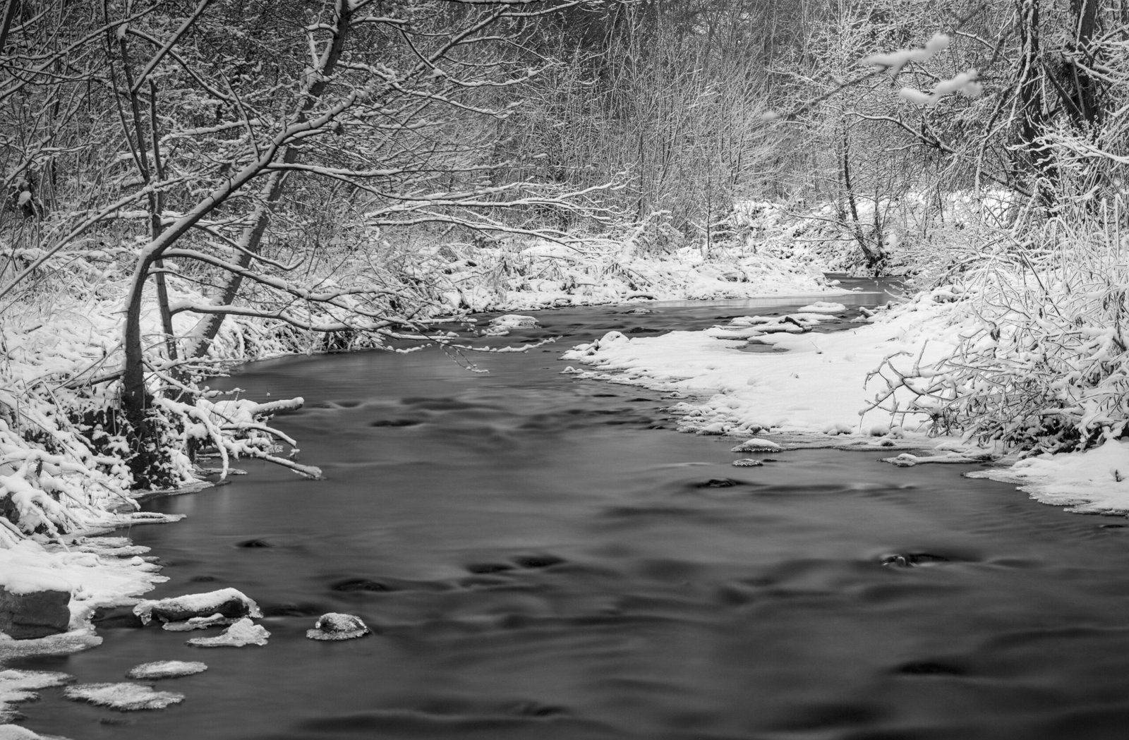 How Cold Water Triggers “Fight Or Flight” And Trains The Body