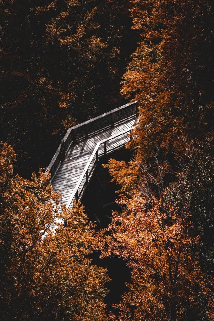 Using The Plunge To Break Mental Loops And Overthinking