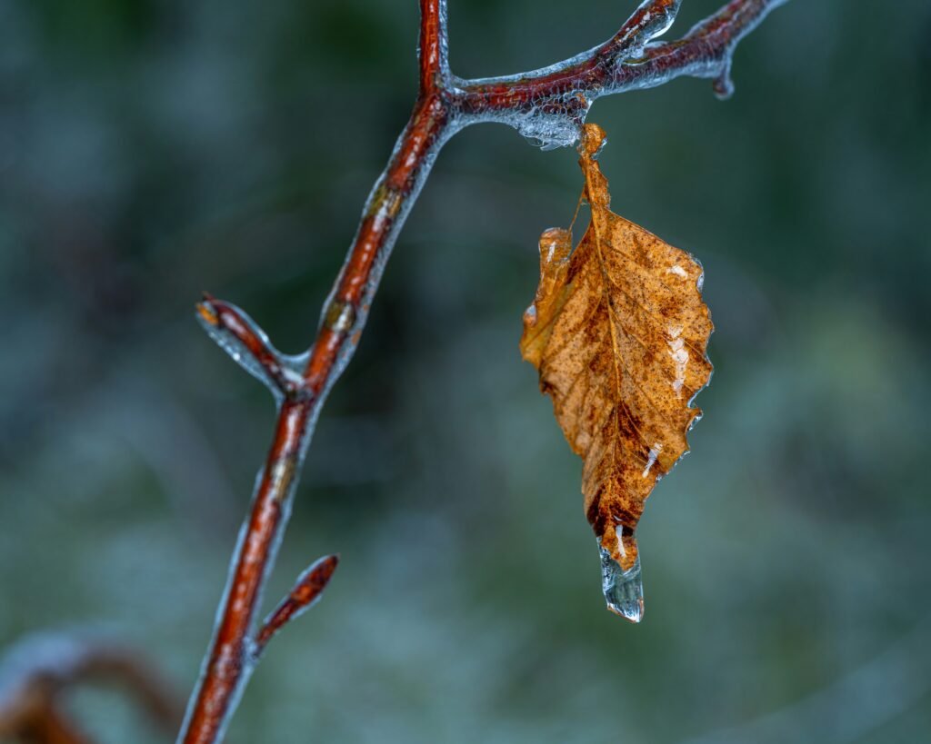 What NOT To Do After A Cold Plunge