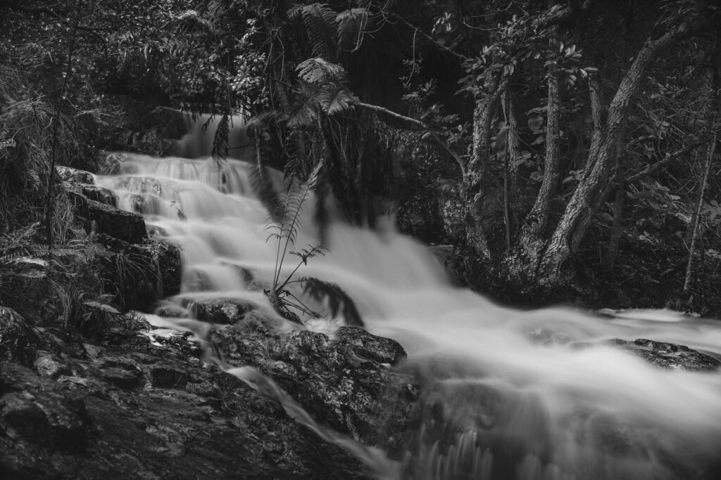 Why Cold Water Might Improve Focus And Executive Function