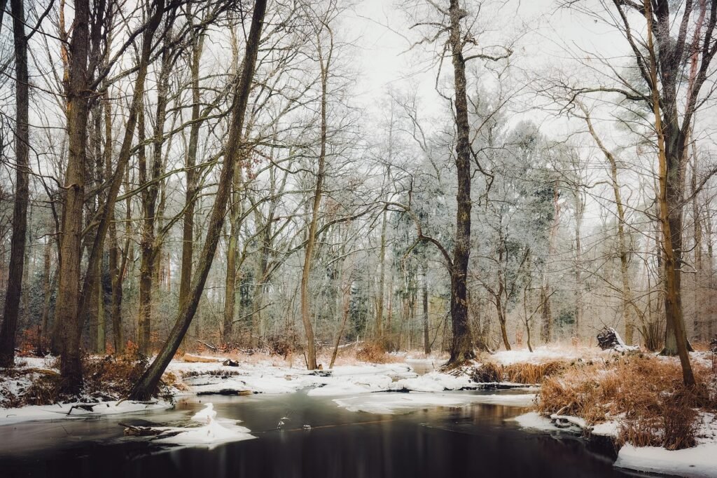 Embracing The Uncomfortable: Lessons From The Cold Embracing The Uncomfortable: Lessons From The Cold