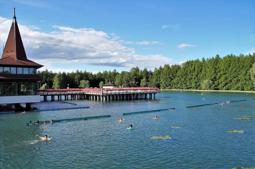 How Cold Water Alters Blood Chemistry And Oxygen Levels