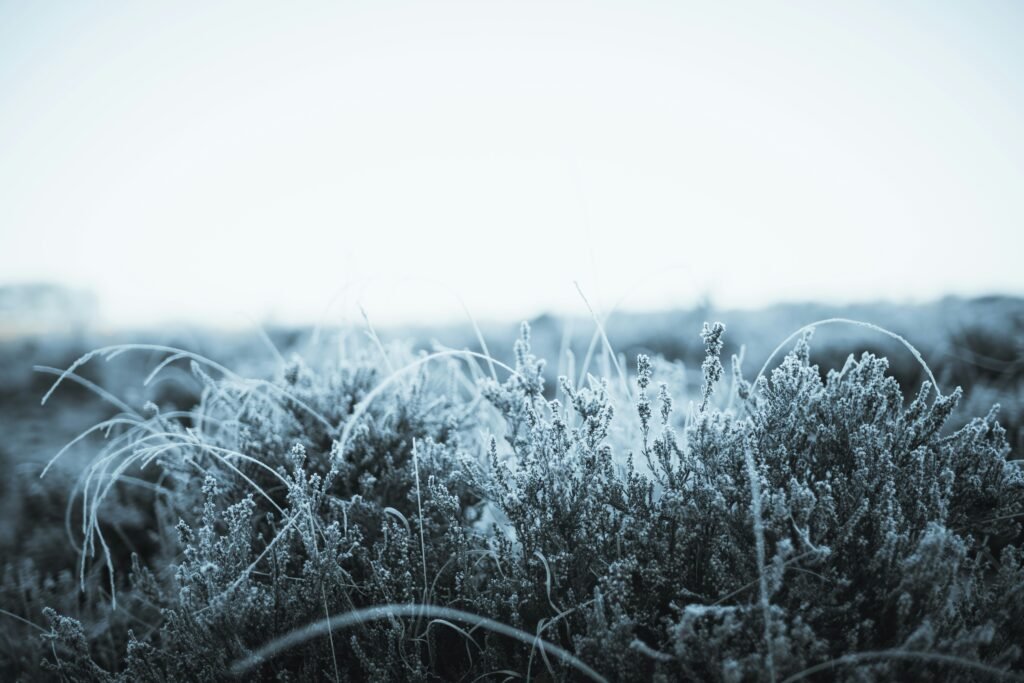 The Science Behind Cold Acclimatization And Tolerance