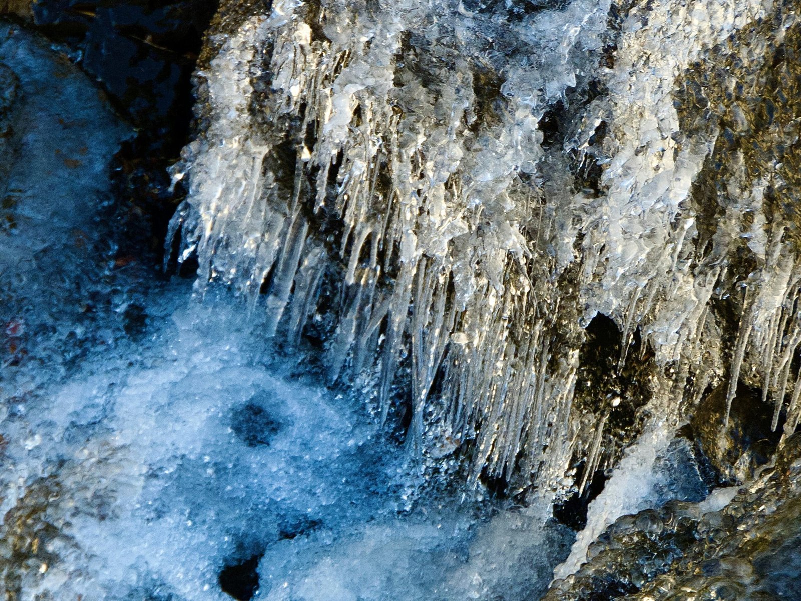 The Science Behind Cold Acclimatization And Tolerance