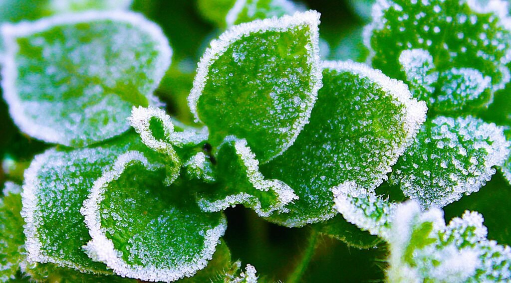 Best 7 First Week of Cold Plunging: Do’s and Don’ts for Success