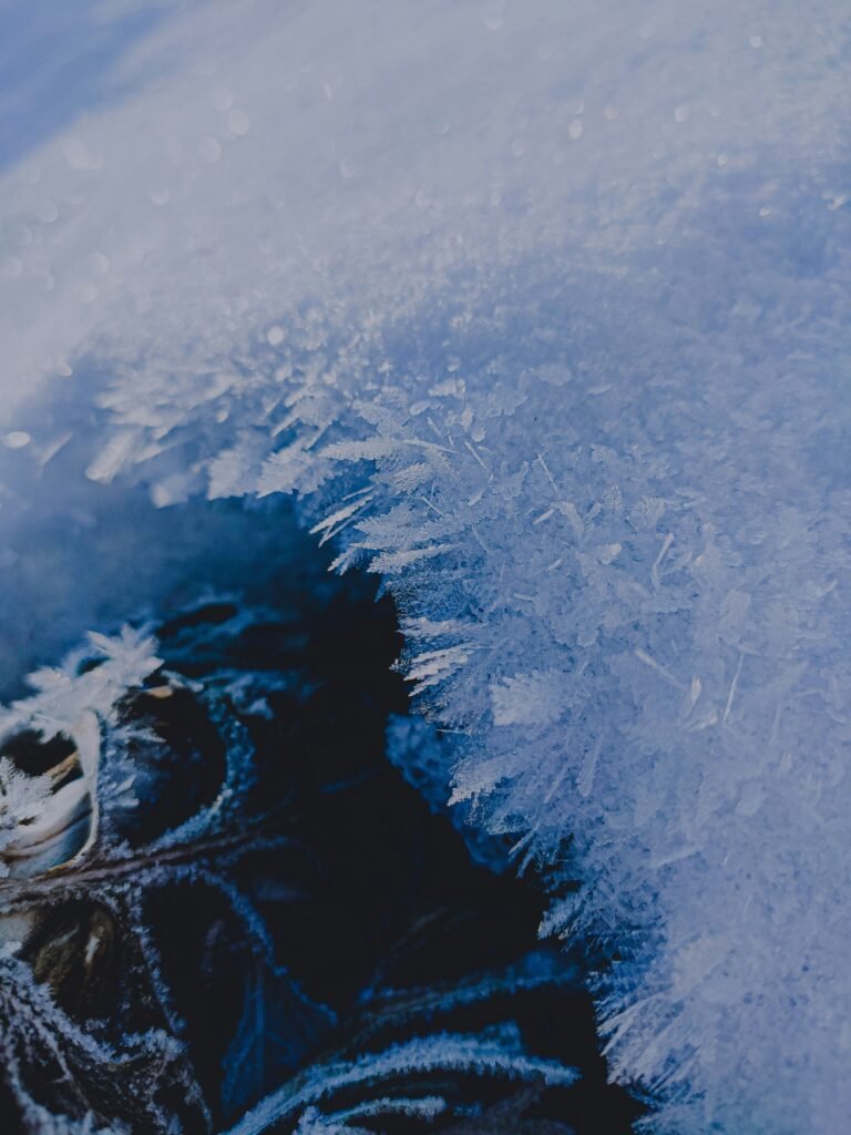 5 Best: Do Gloves or Booties Help in Cold Water? Pros and Cons