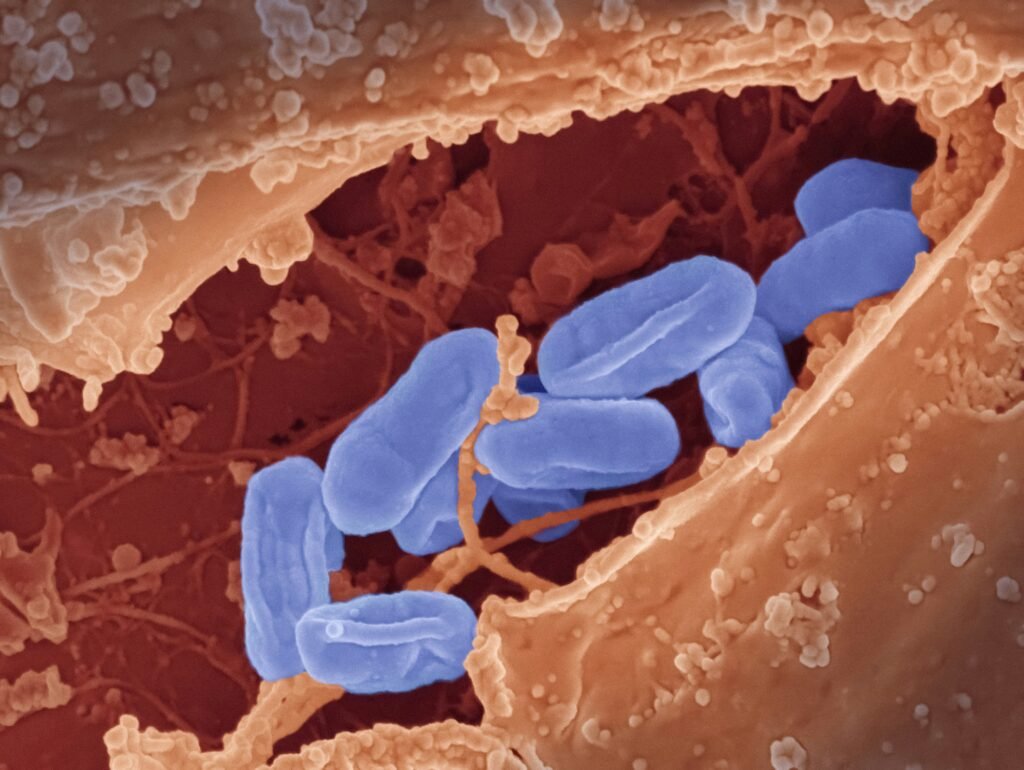 Can Cold Plunges Help With Autoimmune Conditions? Proven Insights