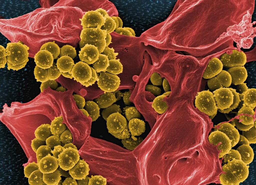 Can Cold Plunges Help With Autoimmune Conditions? Proven Insights