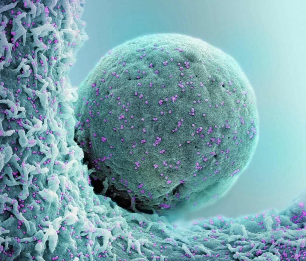 Cold Exposure and Mitochondrial Function Explained: Best Tips