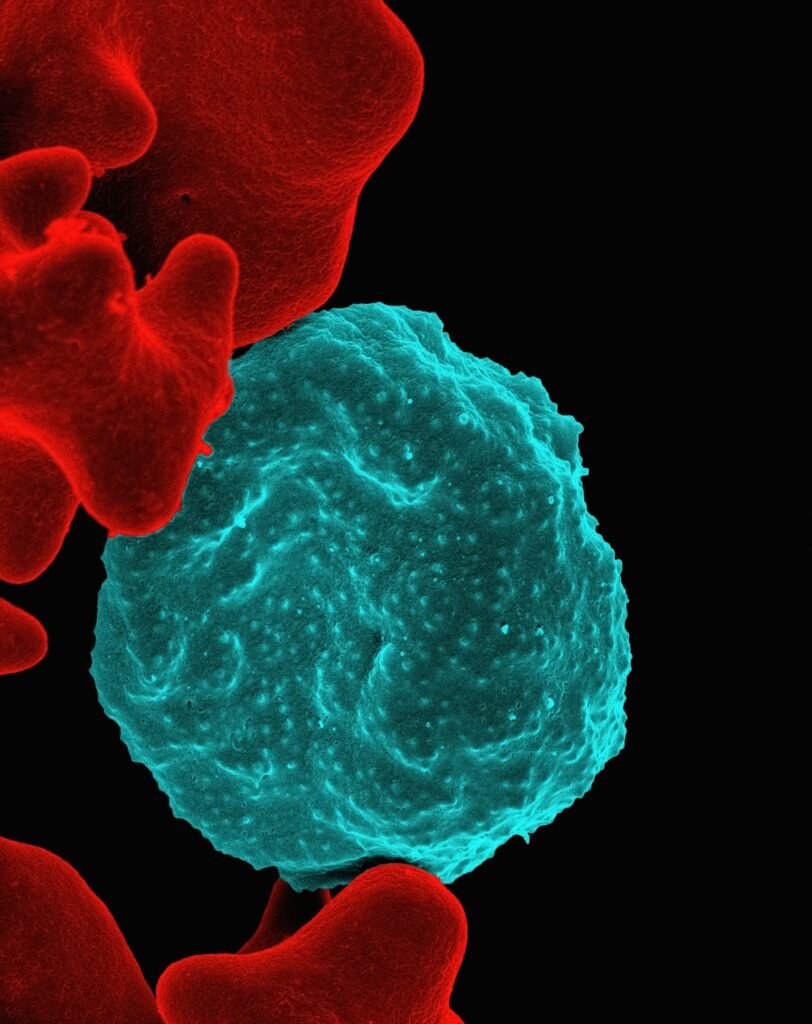 Cold Plunges and Immune System Function Explained: Proven Facts
