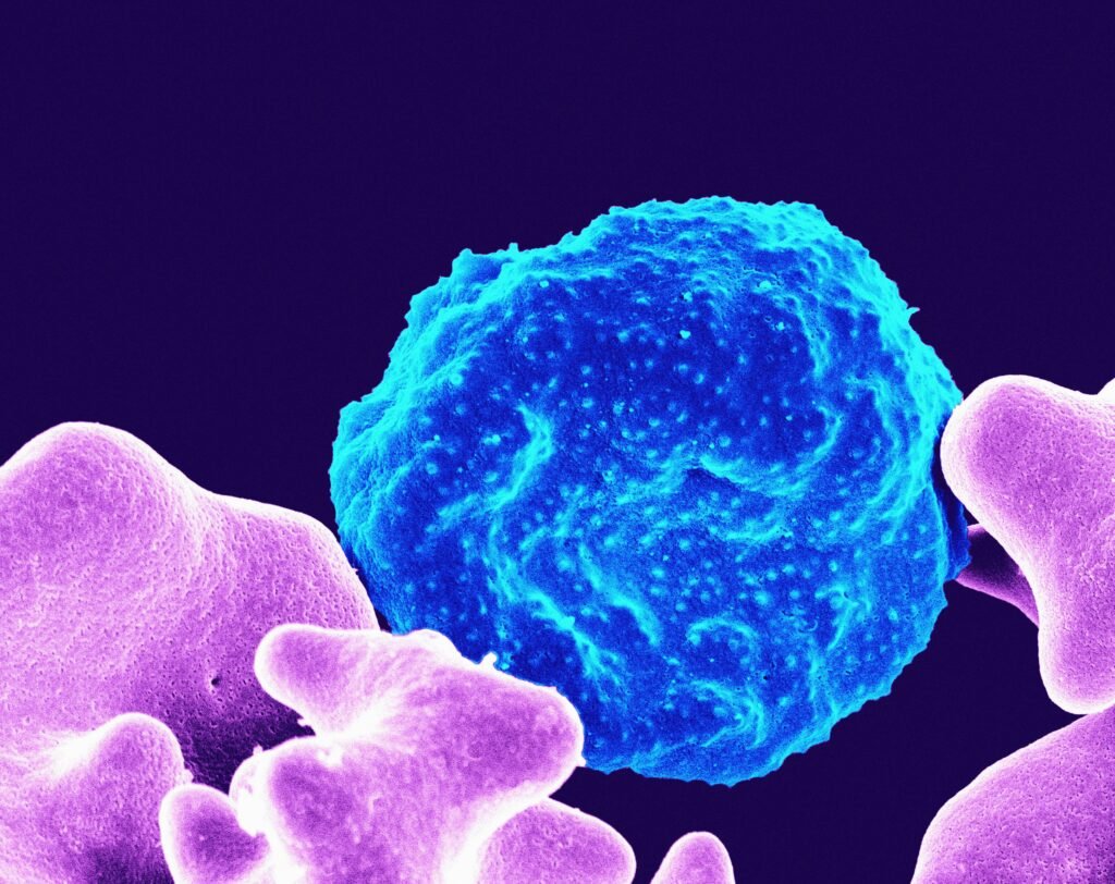 Cold Plunges and Inflammation: What Cytokine Research Shows
