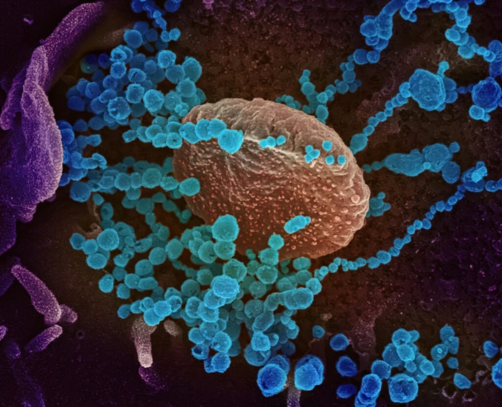 Cold Plunges and Inflammation: What Cytokine Research Shows