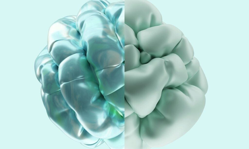 Does Cold Water Reset the Brain? Science vs Myth—6 Proven Facts Does Cold Water Reset the Brain? Science vs Myth—6 Proven Facts