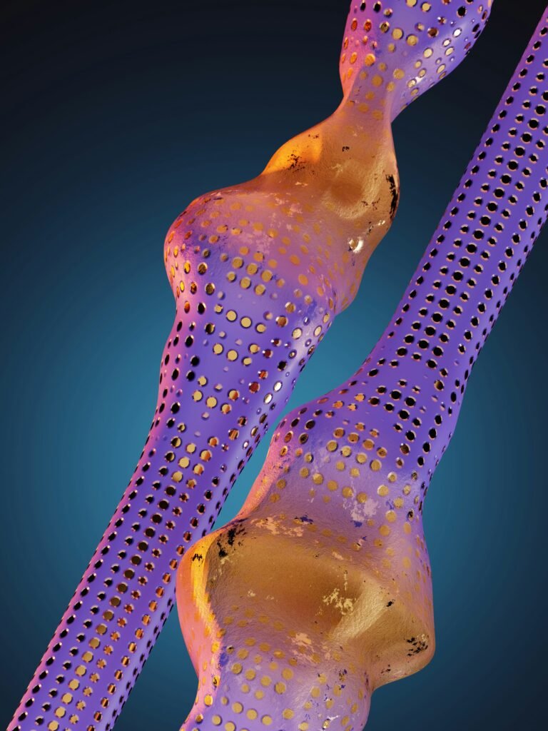 The Link Between Cold Exposure and Heat Shock Proteins: Proven
