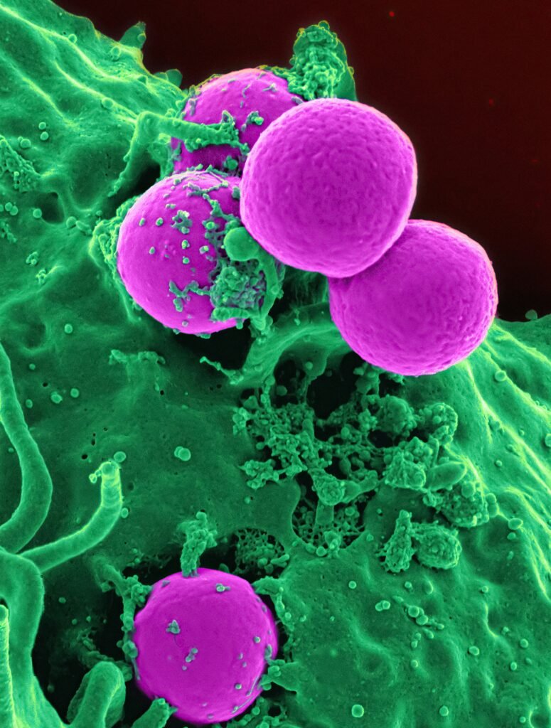 The Role of Cold Exposure in Cellular Repair — Proven Insights The Role of Cold Exposure in Cellular Repair — Proven Insights