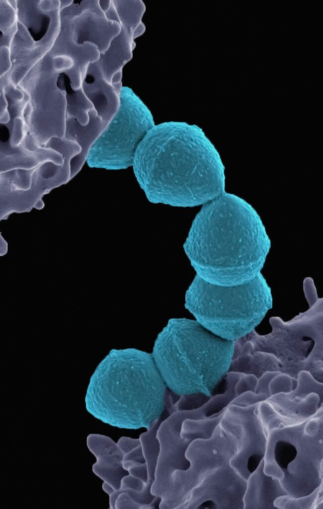The Role of Cold Exposure in Cellular Repair — Proven Insights The Role of Cold Exposure in Cellular Repair — Proven Insights