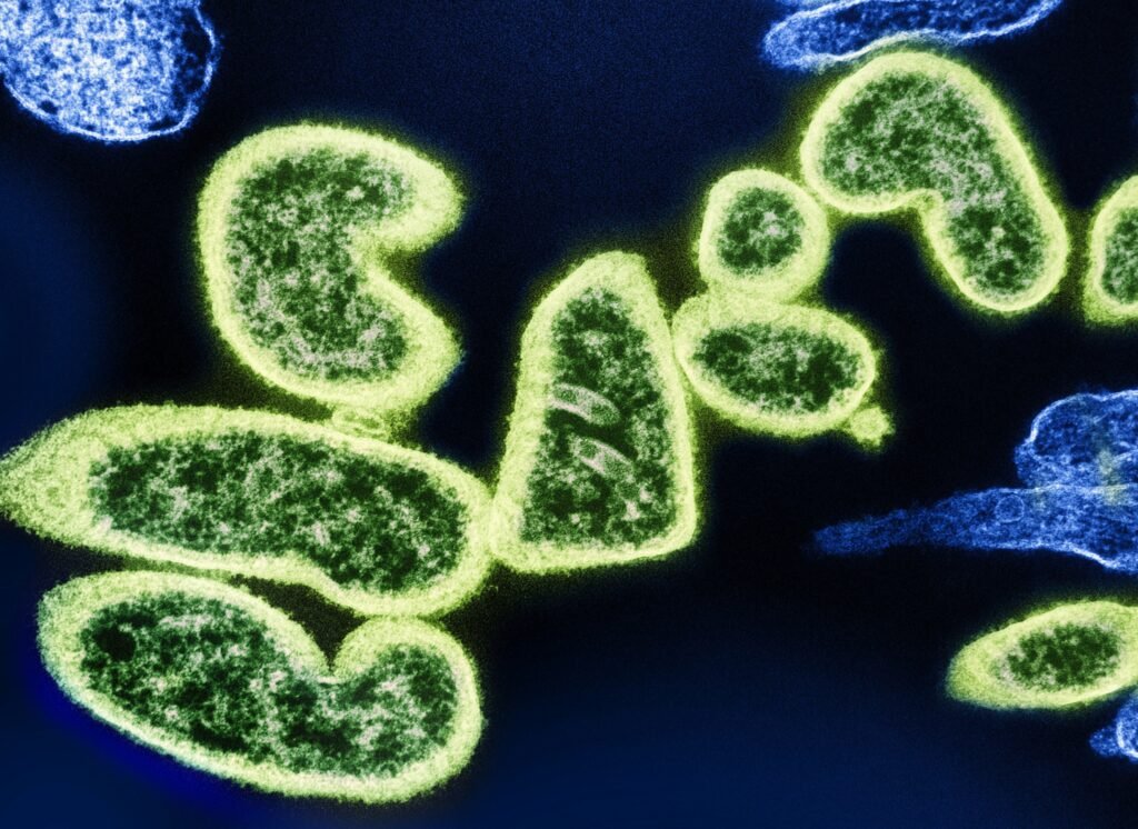 How Cold Plunges May Influence Gene Expression