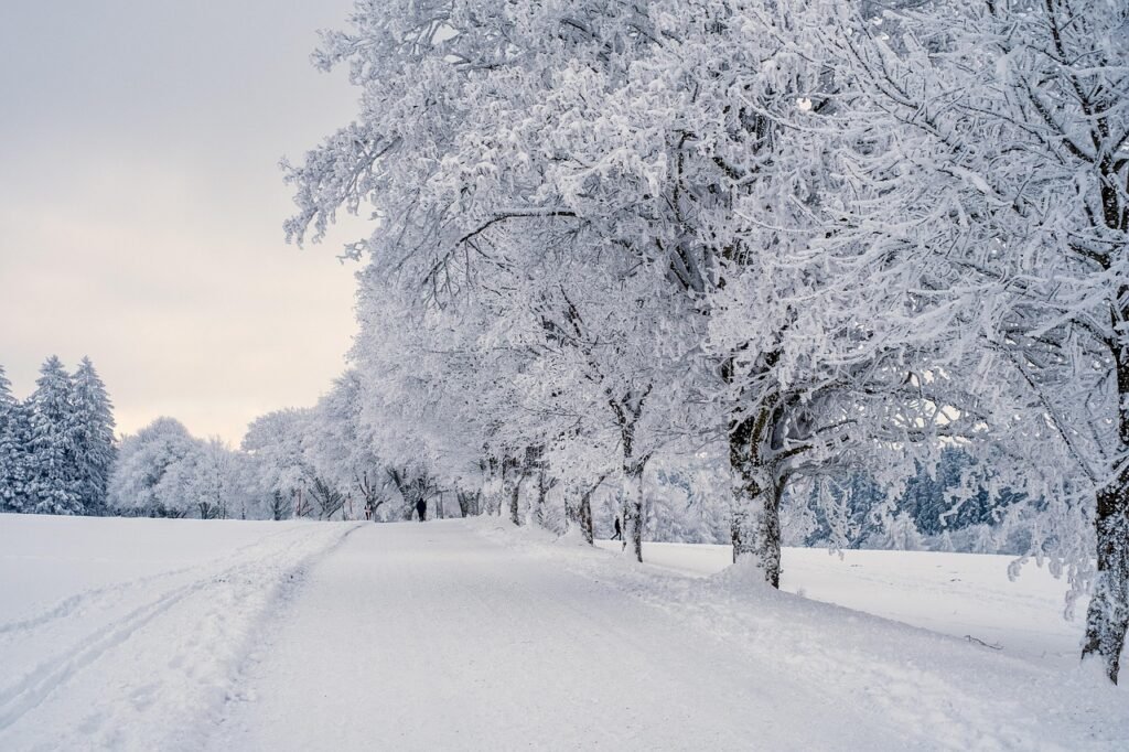 Cold Plunges And Oxygen Transport In The Blood Cold Plunges And Oxygen Transport In The Blood