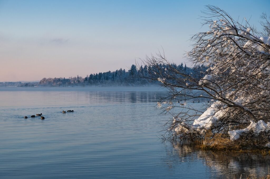 How To Stay Calm While Shivering In Cold Water How To Stay Calm While Shivering In Cold Water